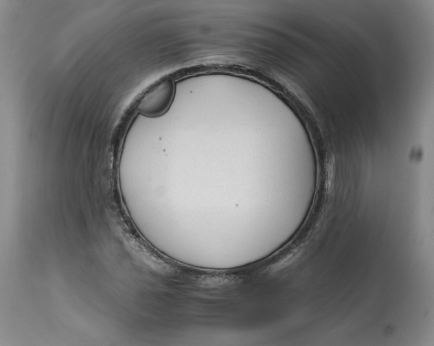 X0000113141021200909251259