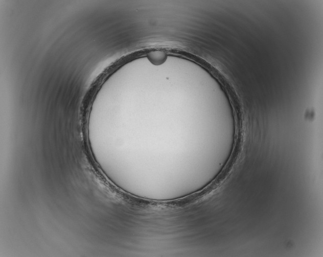 X0000113141022200909251259