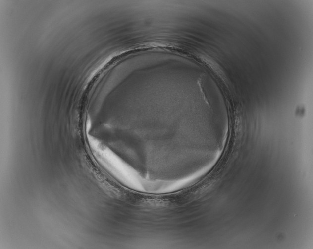 X0000113141023200909251259