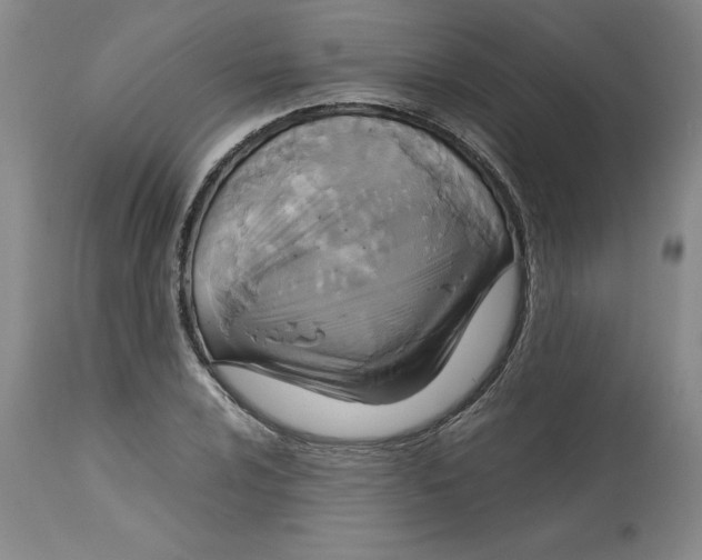 X0000113141024200909251259