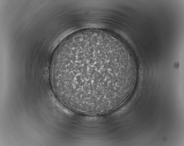 X0000113141025200909251259