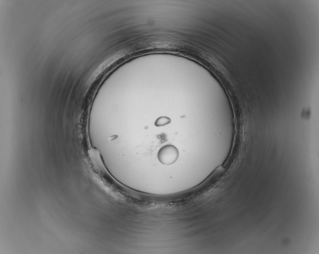 X0000113141026200909251259