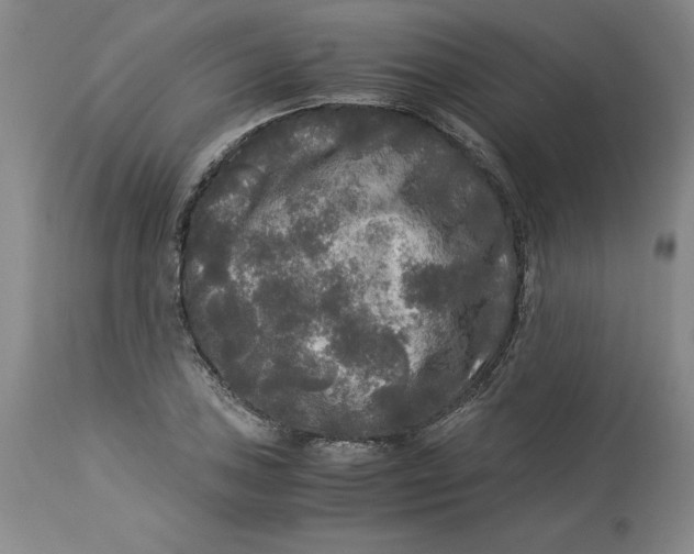 X0000113141027200909251259