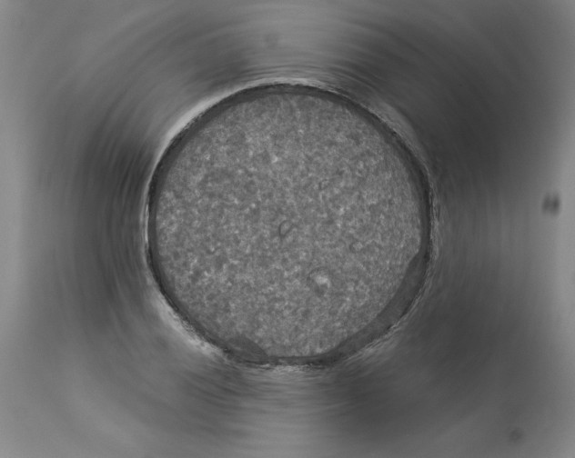 X0000113141028200909251259