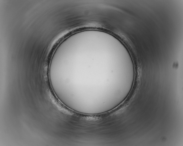 X0000113141029200909251259