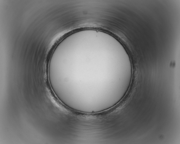 X0000113141030200909251259