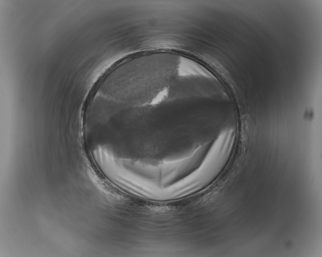 X0000113141031200909251259