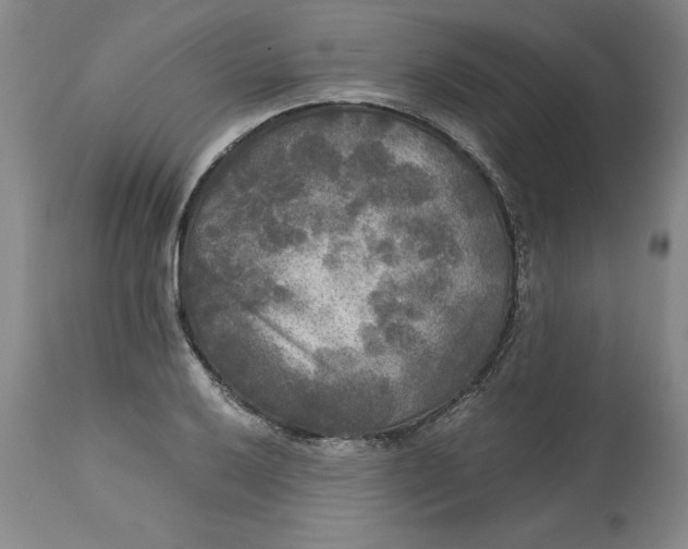 X0000113141032200909251259