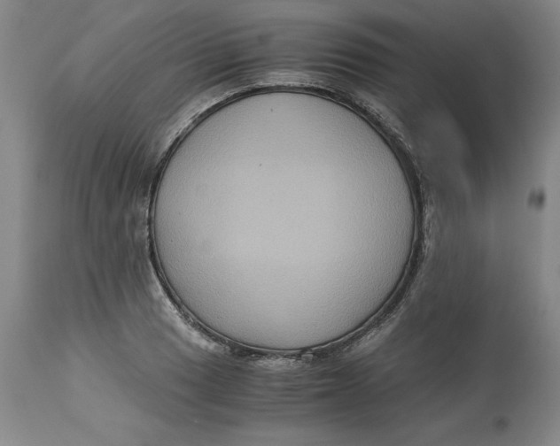 X0000113141033200909251259