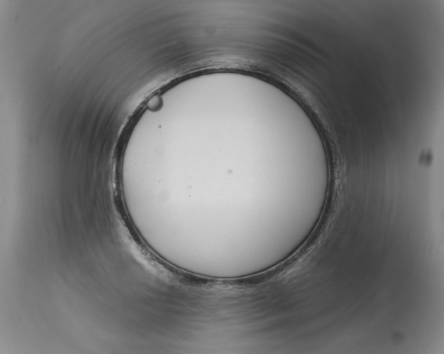 X0000113141034200909251259