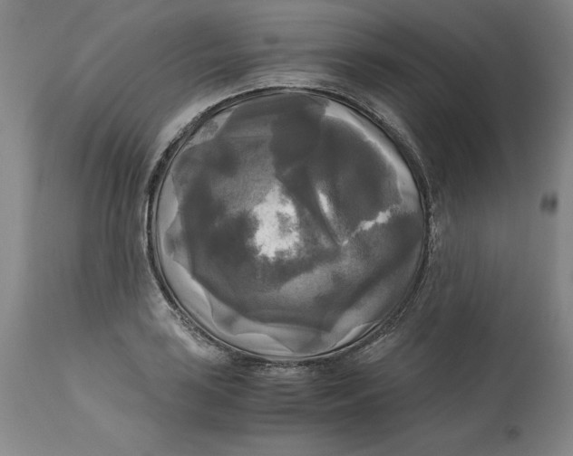 X0000113141035200909251259