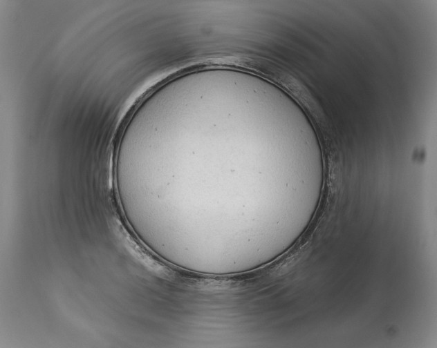 X0000113141036200909251259