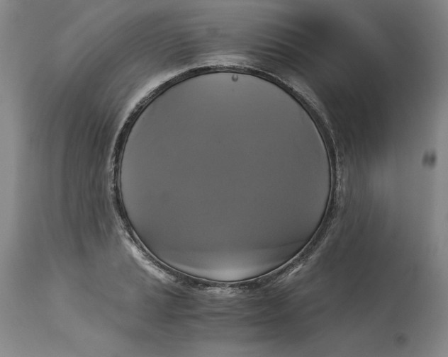 X0000113141037200909251259