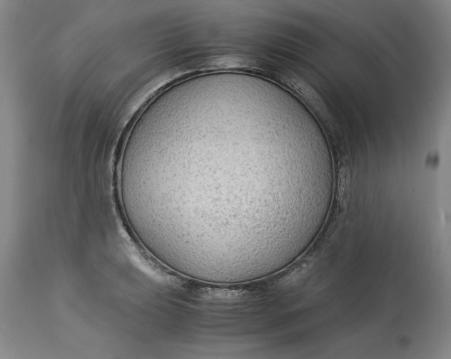 X0000113141039200909251259