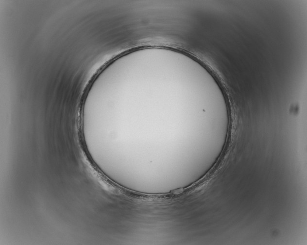 X0000113141040200909251259