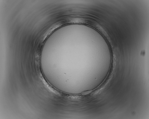 X0000113141041200909251259