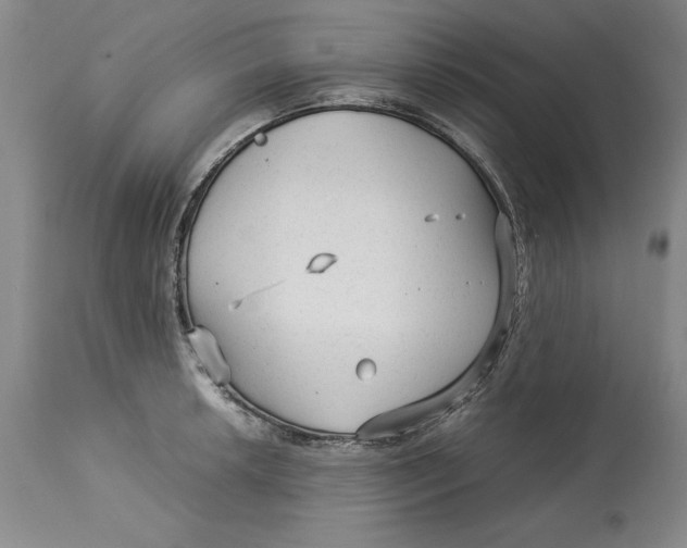 X0000113141042200909251259