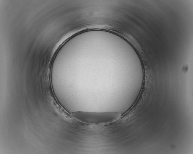 X0000113141044200909251259