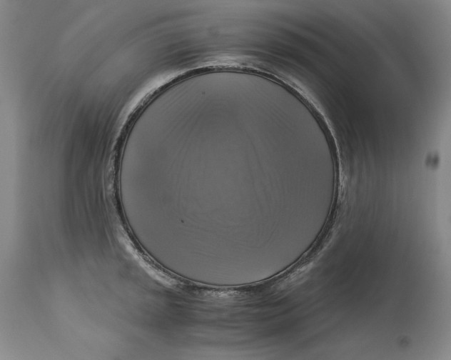 X0000113141045200909251259