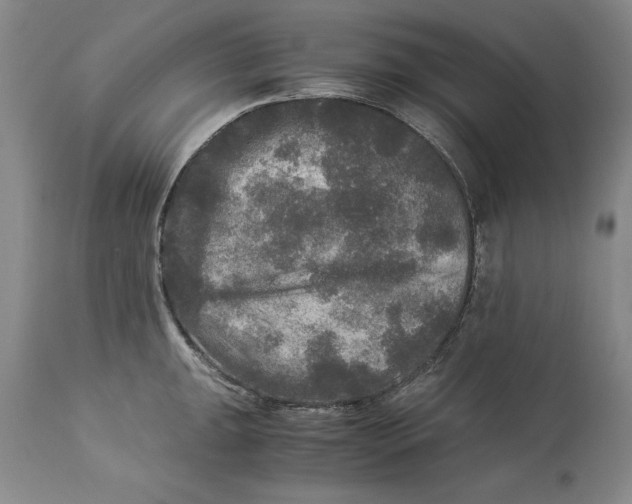 X0000113141047200909251259