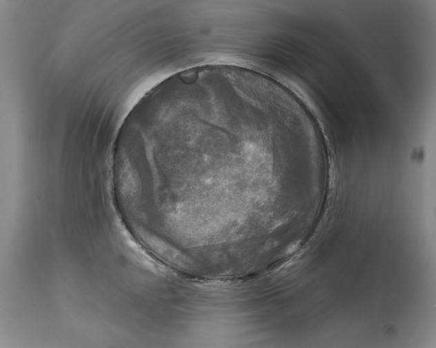 X0000113141048200909251259