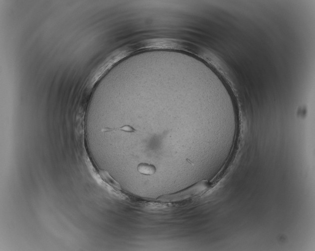 X0000113141049200909251259