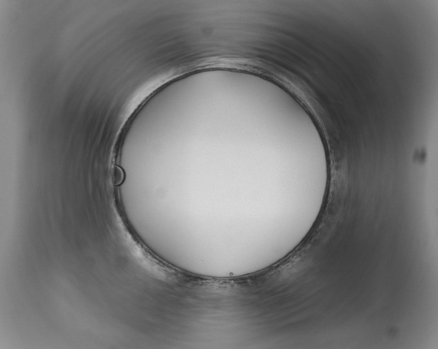 X0000113141050200909251259