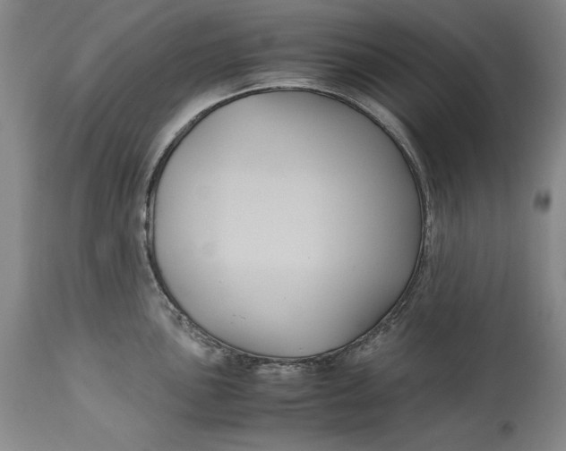 X0000113141051200909251300