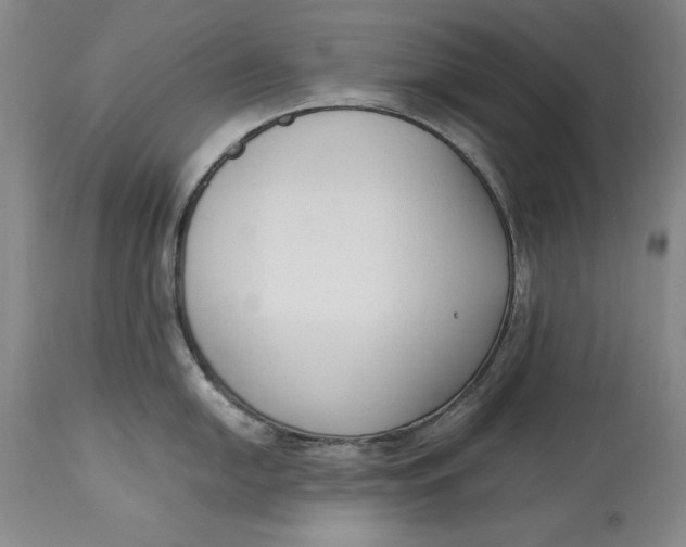 X0000113141054200909251300