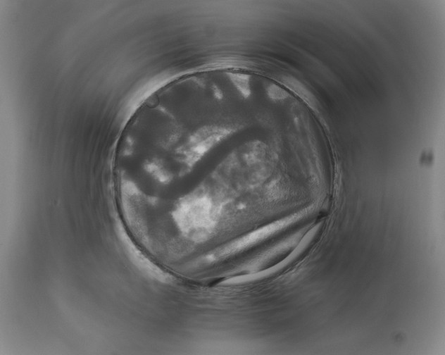 X0000113141055200909251300