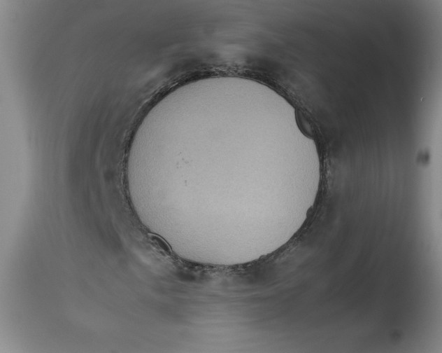 X0000113141057200909251259