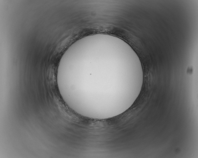 X0000113141058200909251259