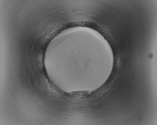 X0000113141060200909251259