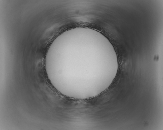 X0000113141061200909251259