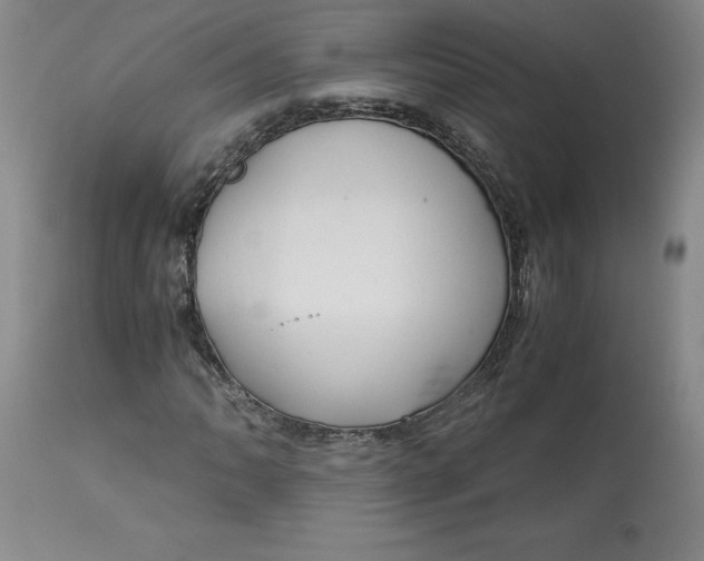 X0000113141062200909251259