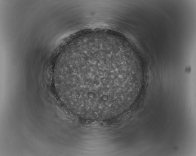 X0000113141063200909251259