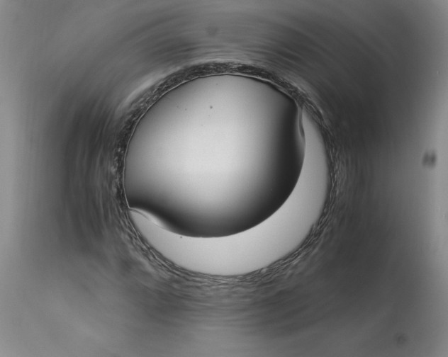 X0000113141064200909251259