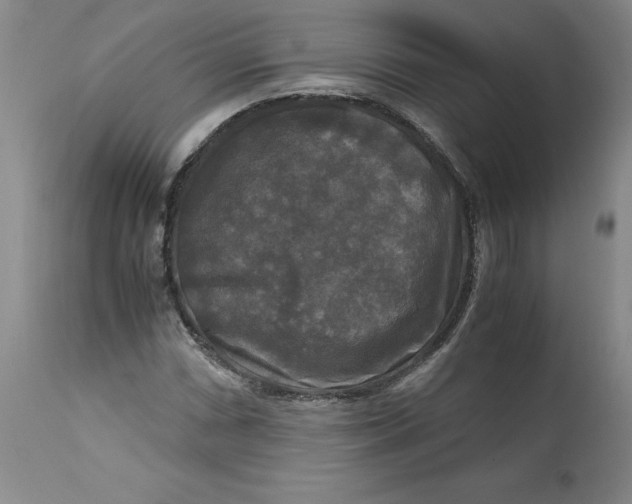 X0000113141066200909251259