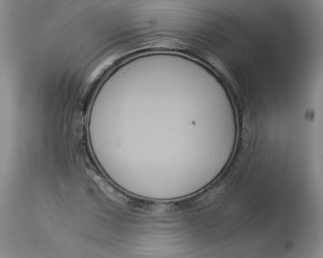 X0000113141067200909251259