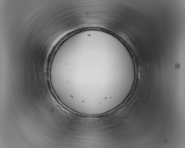 X0000113141068200909251259