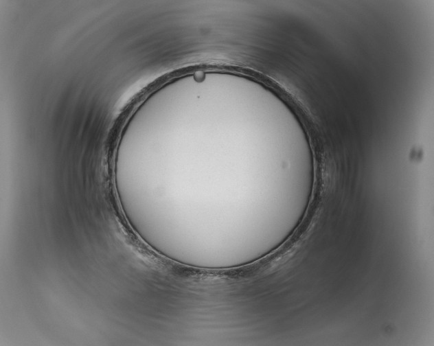 X0000113141070200909251259