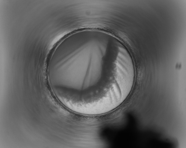 X0000113141071200909251259