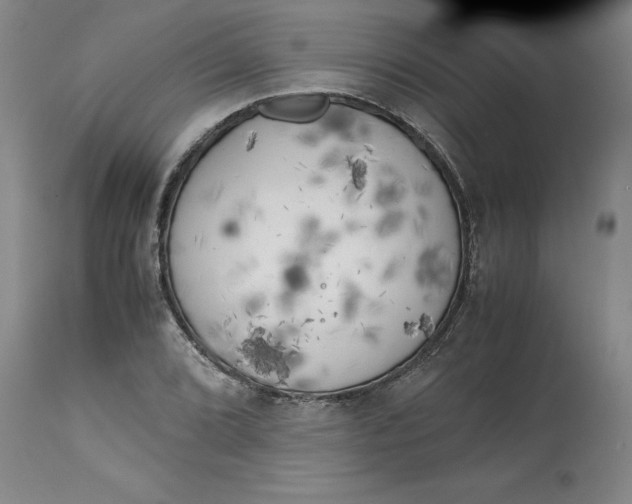 X0000113141072200909251259