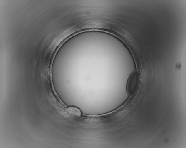 X0000113141073200909251259