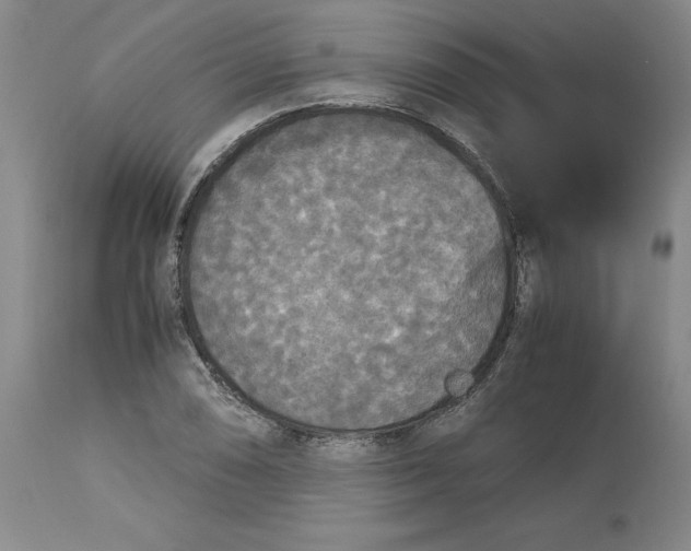 X0000113141074200909251258