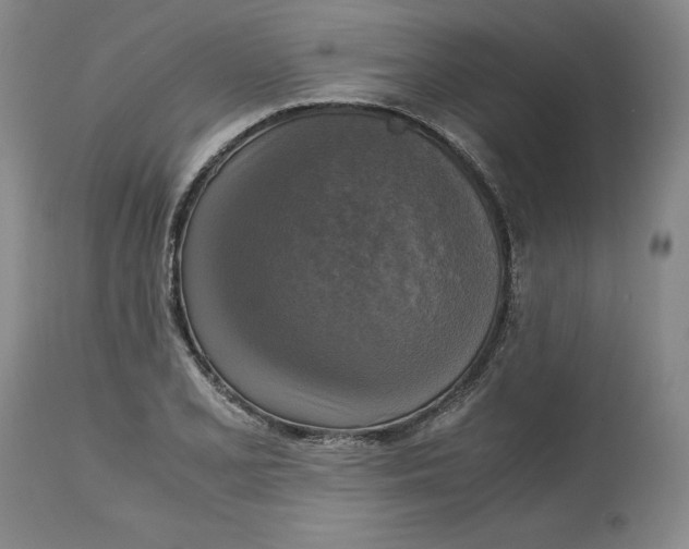 X0000113141077200909251258