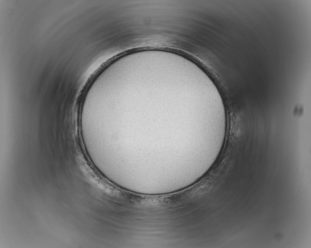 X0000113141078200909251258