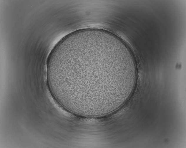 X0000113141079200909251258