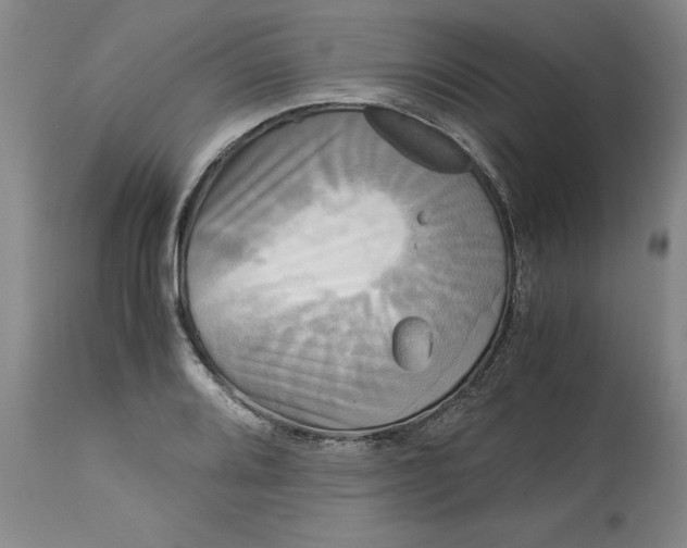 X0000113141080200909251258