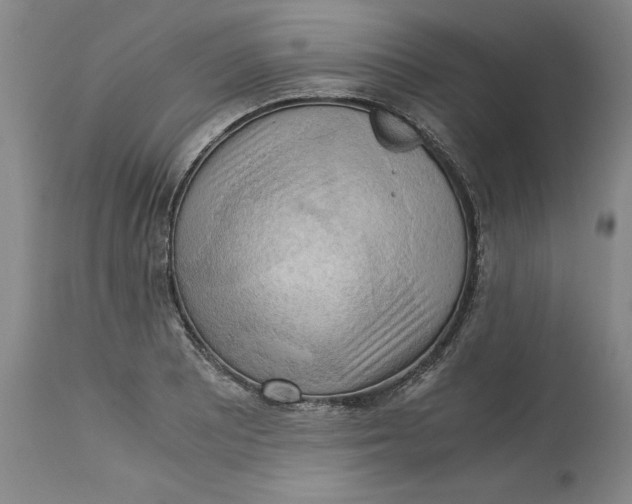 X0000113141081200909251258